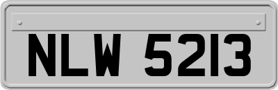 NLW5213
