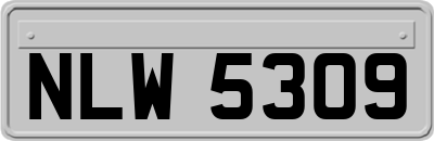 NLW5309