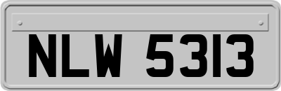 NLW5313