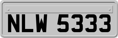 NLW5333