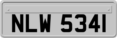 NLW5341