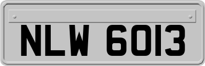 NLW6013