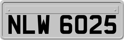 NLW6025