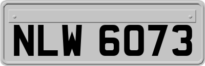 NLW6073