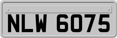 NLW6075