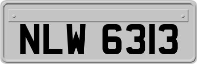 NLW6313