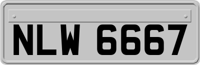 NLW6667
