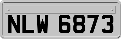 NLW6873