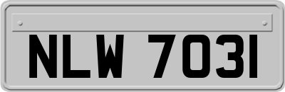 NLW7031