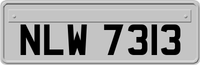 NLW7313