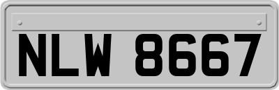 NLW8667