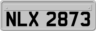 NLX2873