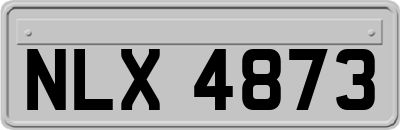 NLX4873