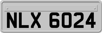 NLX6024