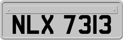 NLX7313
