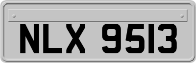 NLX9513