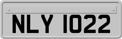 NLY1022