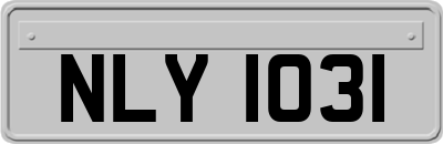 NLY1031