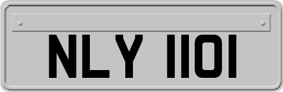 NLY1101