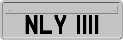 NLY1111