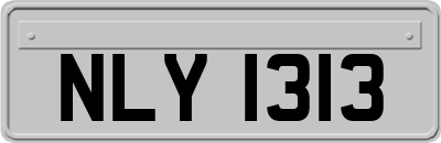 NLY1313