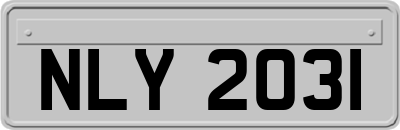 NLY2031
