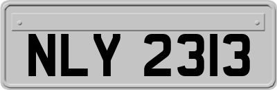 NLY2313