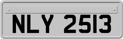 NLY2513