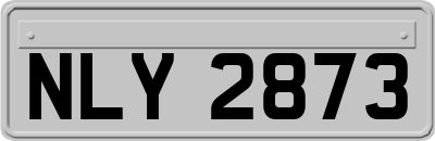 NLY2873