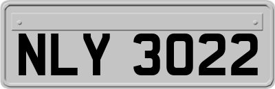 NLY3022