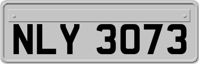 NLY3073
