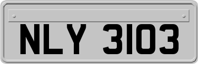 NLY3103