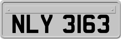 NLY3163