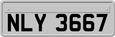 NLY3667
