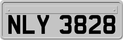 NLY3828