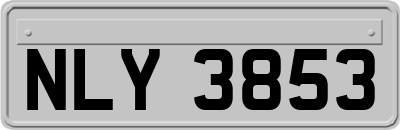 NLY3853