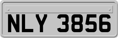 NLY3856