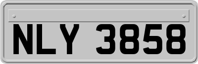 NLY3858