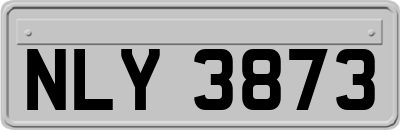 NLY3873