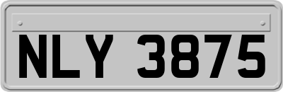 NLY3875