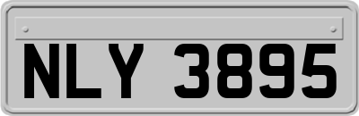 NLY3895
