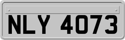 NLY4073