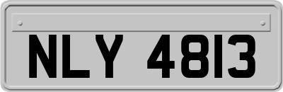 NLY4813