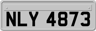 NLY4873