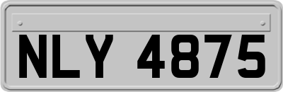 NLY4875