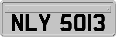 NLY5013