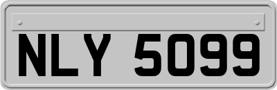 NLY5099