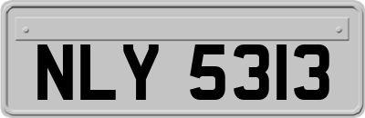NLY5313