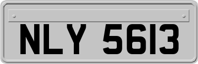 NLY5613