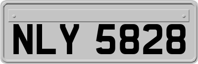 NLY5828